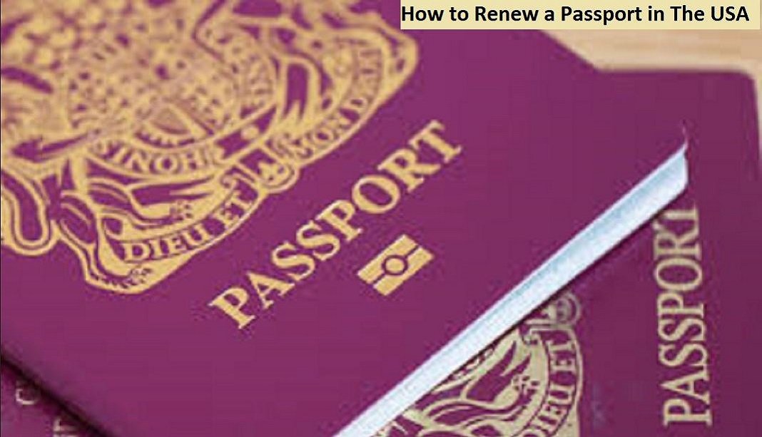 How to Renew a Passport in The USA