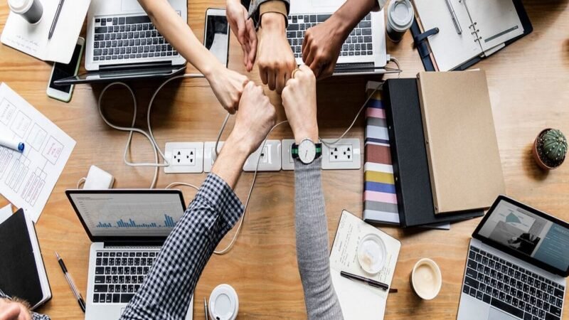 What are The 4 Types of Company Culture?